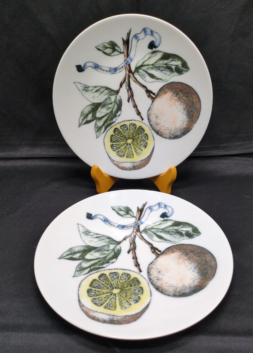 Two Bareuther Waldsassen Bavaria Porcelain Plates Aronzo Silvestri Hand Painted
